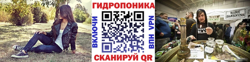 мориарти Telegram  Шуя  Шишки марихуана White Widow 